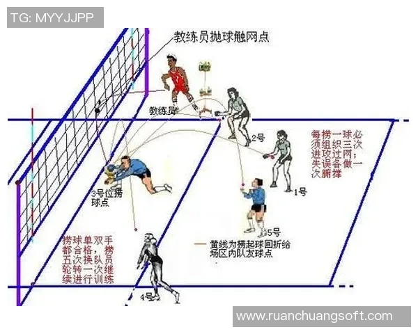 陈静独家分享排球心得与技巧提升的全面指南